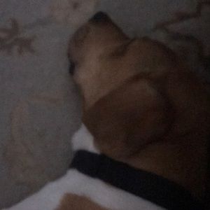 Meet your Posher, Dee